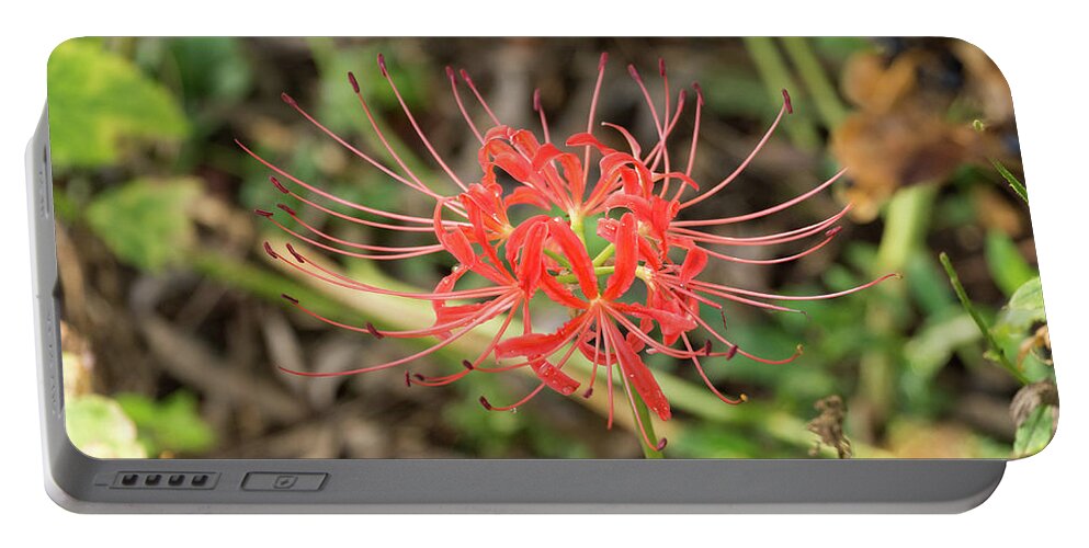 Flower Portable Battery Charger featuring the photograph Strange Flower by John Benedict