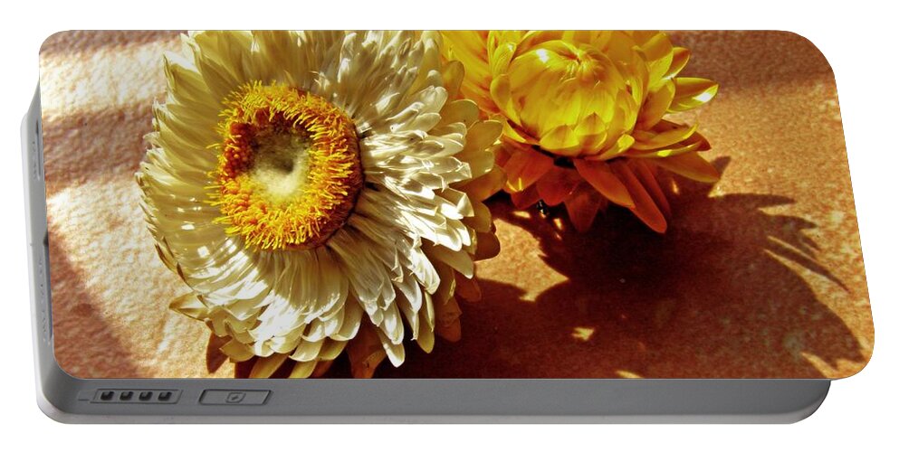 Strawflower Portable Battery Charger featuring the photograph Strawflowers on the Window Sill 5 by Sarah Loft