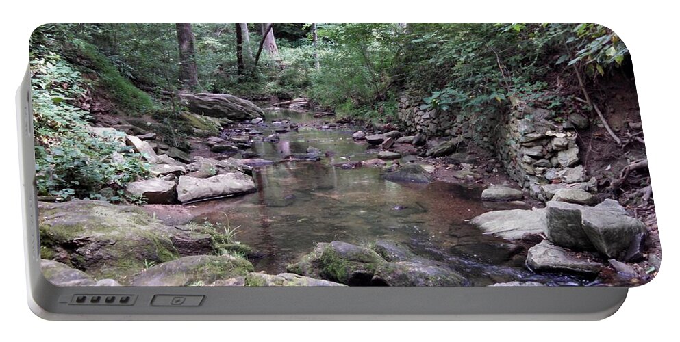 Stream Portable Battery Charger featuring the photograph Stream Ponderings by Allen Nice-Webb