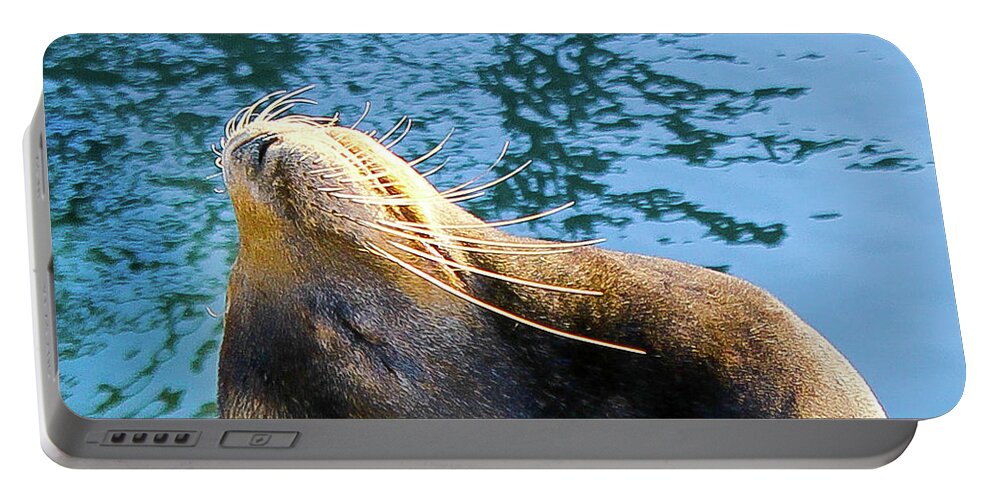 Wildlife Portable Battery Charger featuring the photograph Stretch by Adam Morsa
