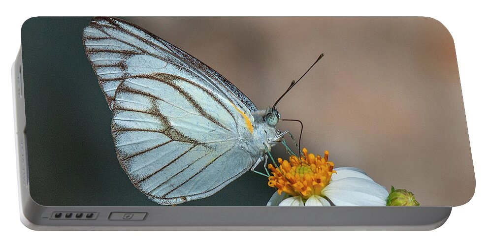Nature Portable Battery Charger featuring the photograph Striped Albatross Butterfly DTHN0209 by Gerry Gantt