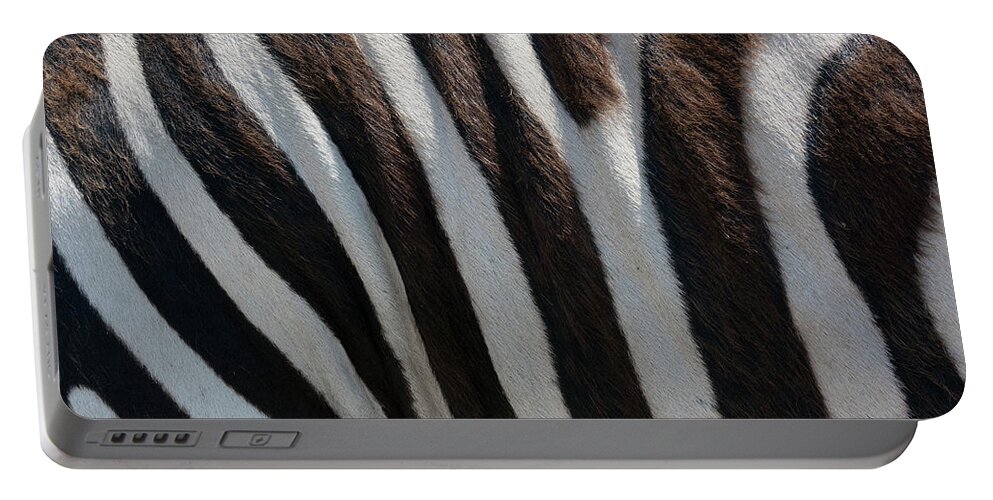 Zebra Stripes Portable Battery Charger featuring the photograph Striped by Douglas Barnard