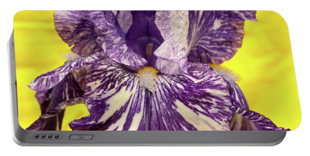 Stripped Portable Battery Charger featuring the photograph Stripped Lady Iris by Douglas Barnett