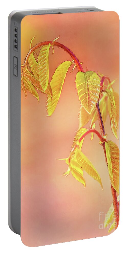 Baby Chestnut Leaves Portable Battery Charger featuring the photograph Stylized Baby Chestnut Leaves by Anita Pollak