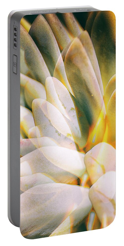 Succulents Portable Battery Charger featuring the photograph Succulent Double Exposure by Lawrence Knutsson
