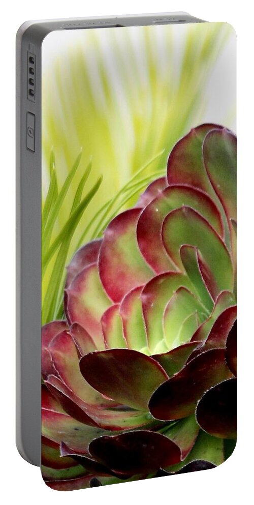 Plant Portable Battery Charger featuring the photograph Succulent by Sarah Lilja