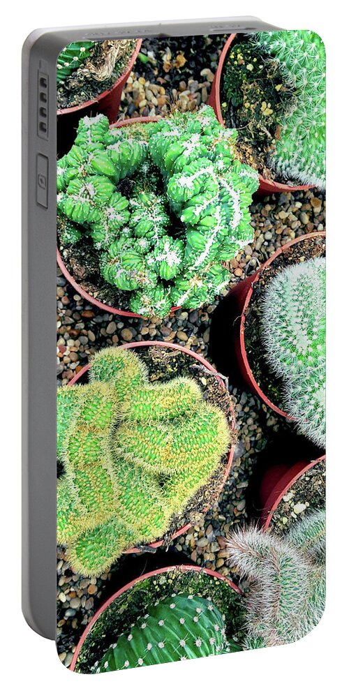 Cactus Portable Battery Charger featuring the photograph Succulents and cactus plants in pots by GoodMood Art