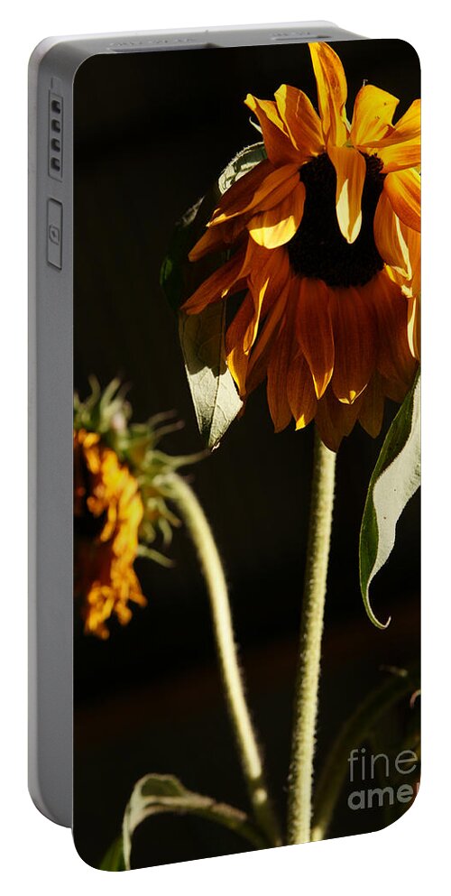 Summer Portable Battery Charger featuring the photograph Summer and the Beat of Your Heart by Linda Shafer