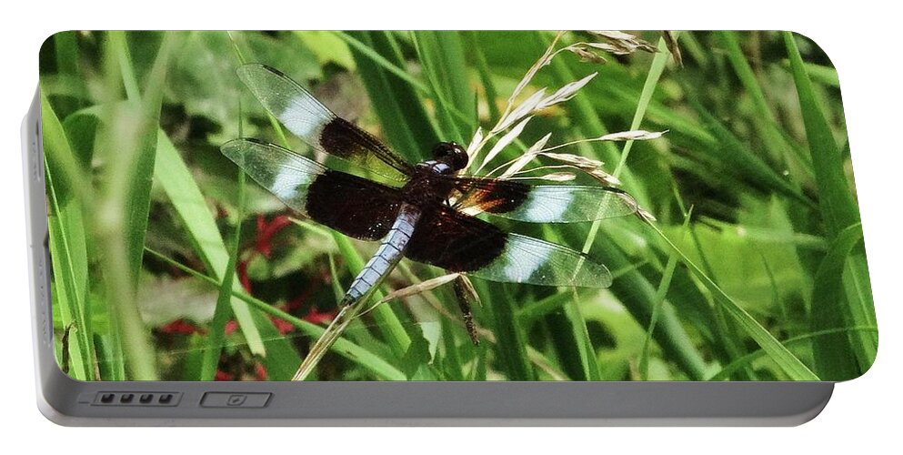 Dragonflies Portable Battery Charger featuring the photograph Summer Dragons by J L Zarek