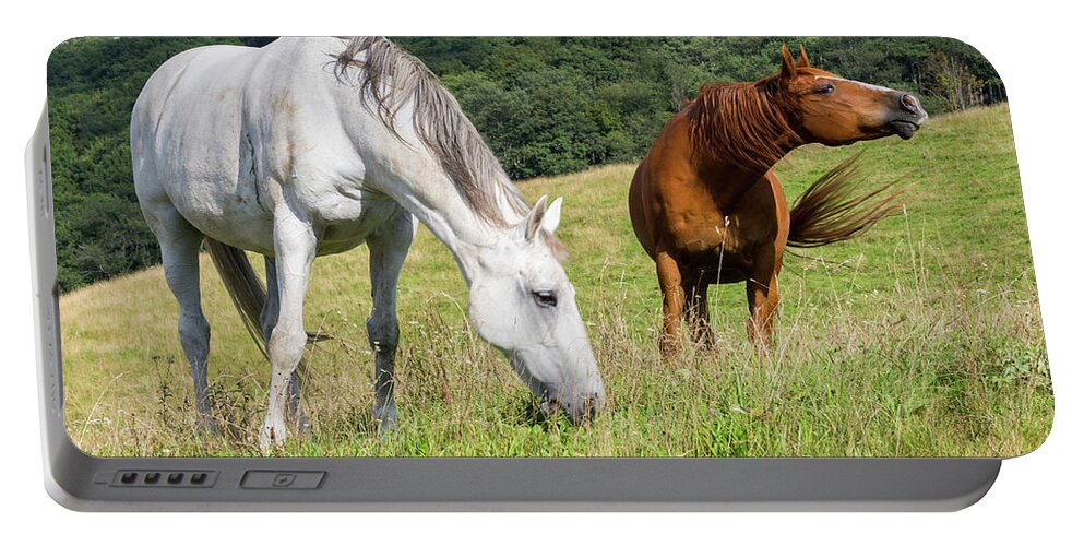 Horses Portable Battery Charger featuring the photograph Summer Evening For Horses by D K Wall