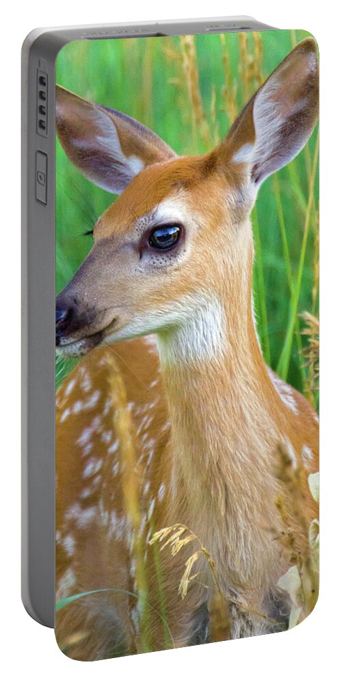 Autumn Portable Battery Charger featuring the photograph Summer Fawn by John De Bord