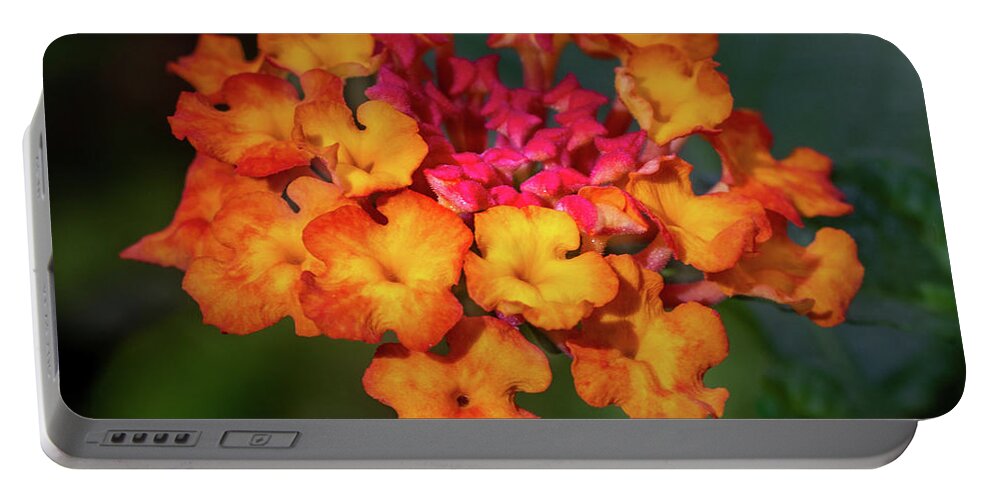 Warm Colors Portable Battery Charger featuring the photograph Summer Floral Colors by James Woody