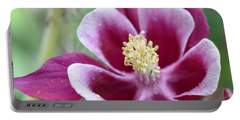 Flowers Portable Battery Charger featuring the photograph Summer Flower-2 by Charles HALL