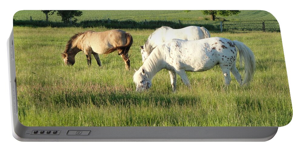 Pony Portable Battery Charger featuring the photograph Summer grazing by Susan Baker