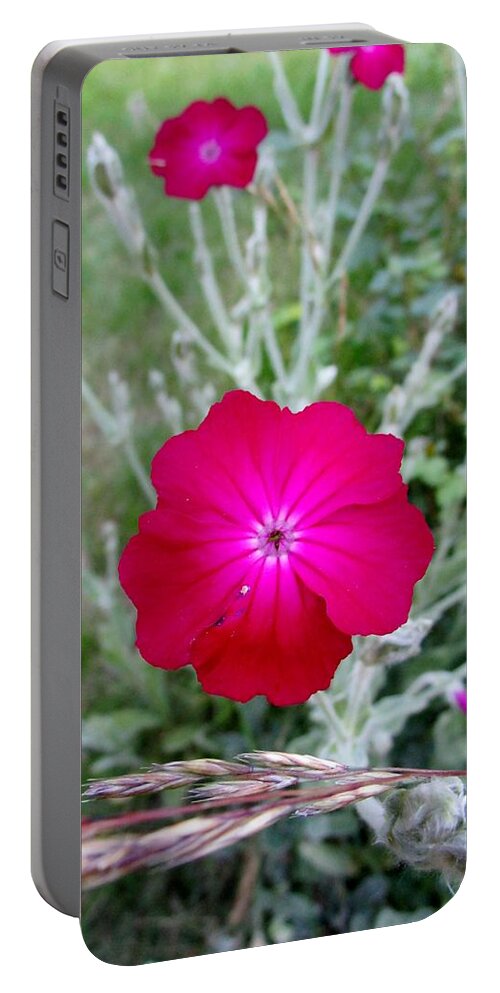 Beauty Portable Battery Charger featuring the photograph Summer joy by Rosita Larsson