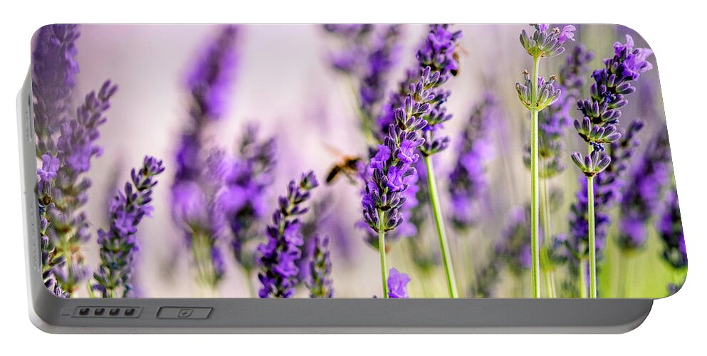 Lavender Portable Battery Charger featuring the photograph Summer Lavender by Nailia Schwarz