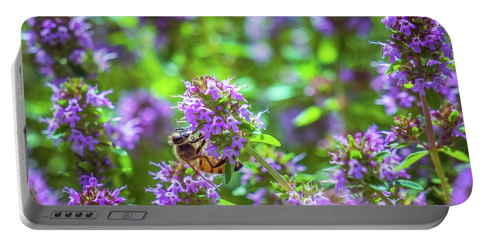 Meadow Portable Battery Charger featuring the photograph Summer meadow 2 by Lilia S