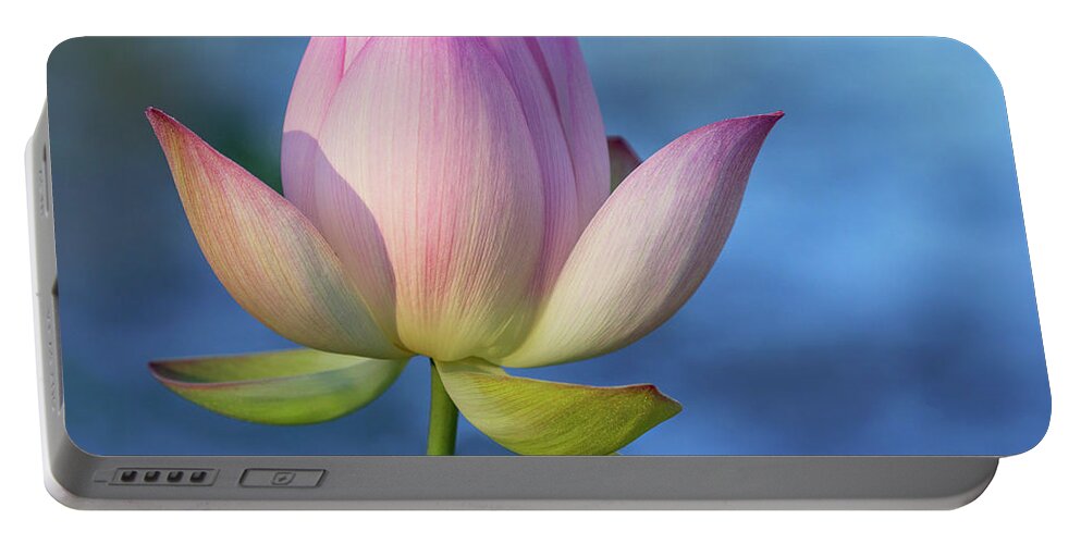 Lotus Portable Battery Charger featuring the photograph Summer Pastels by Art Cole