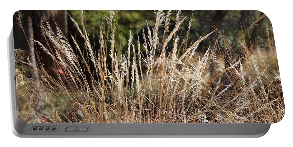 Honey Brown Grass Portable Battery Charger featuring the photograph Summer Plumes by Colleen Cornelius