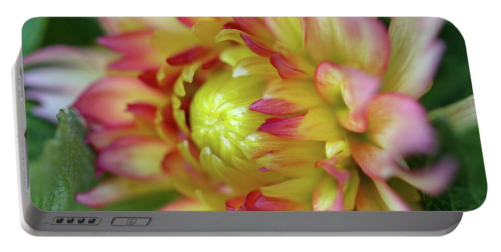 Flower Portable Battery Charger featuring the photograph Summer Splendor by Mary Anne Delgado