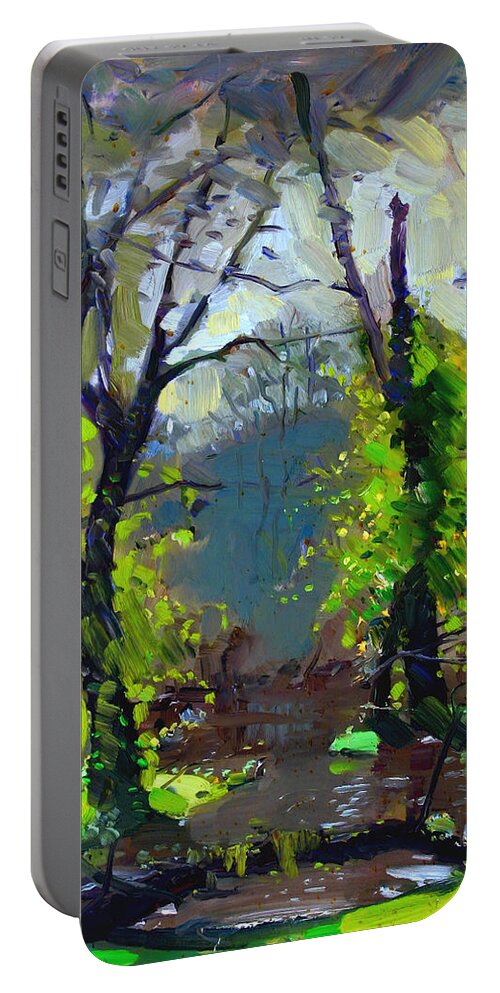 Sun After Rain Portable Battery Charger featuring the painting Sun ater Rain by Ylli Haruni