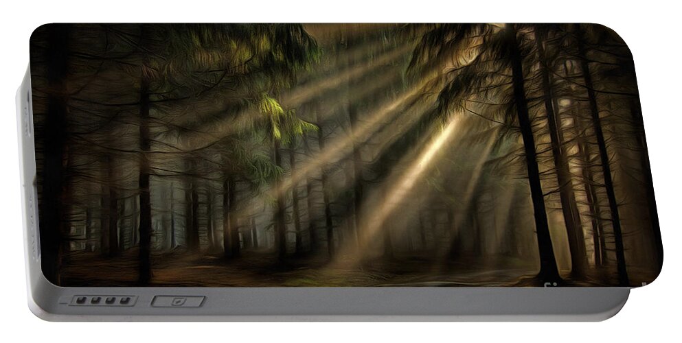 Chiaroscuro Portable Battery Charger featuring the photograph Sun rays in the forest by Michal Boubin