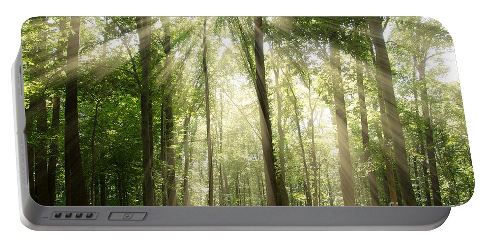 Sun Portable Battery Charger featuring the photograph Sun Rays Through Treetops Rural Landscape by PIPA Fine Art - Simply Solid