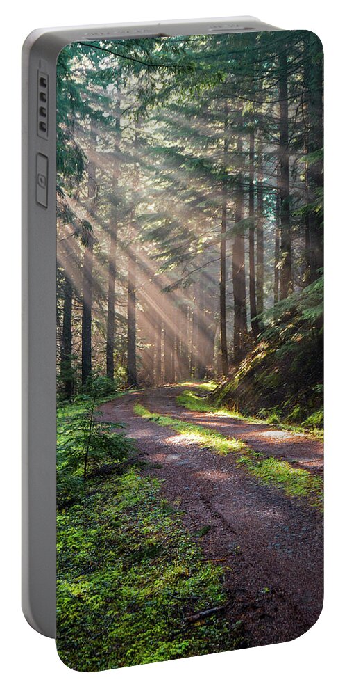 Landscape Portable Battery Charger featuring the photograph Sunbeam in Trees portrait by Jason Brooks