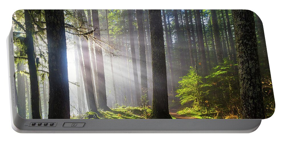 Lower Lewis River Falls Portable Battery Charger featuring the photograph Sunbeams along Hiking Trails by David Gn