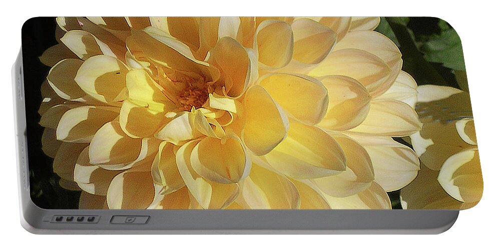 Flower Portable Battery Charger featuring the photograph Sunburst by Joyce Creswell