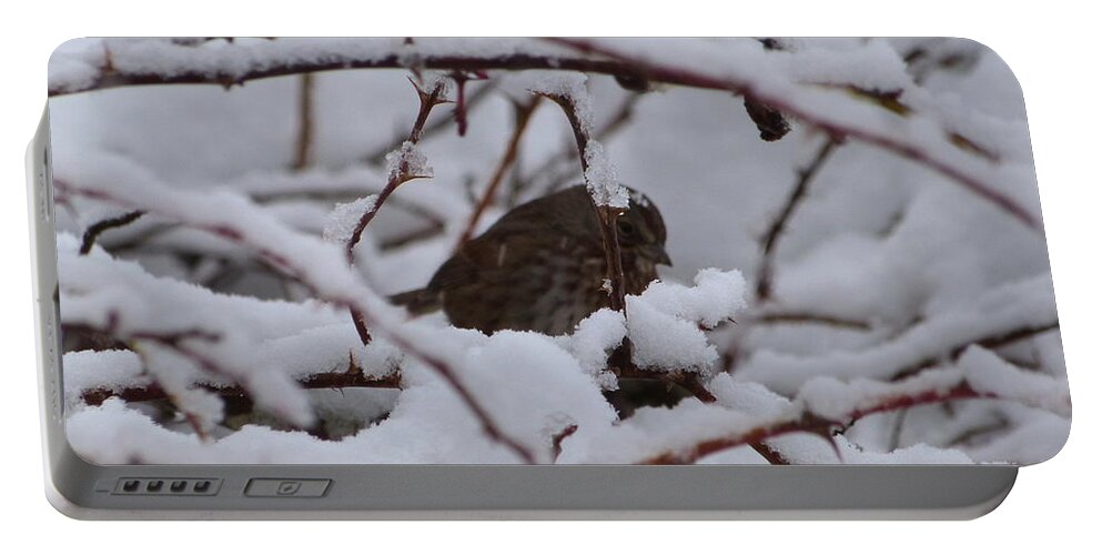 Bird Portable Battery Charger featuring the photograph Sunday February 5 2017 by Darrell MacIver