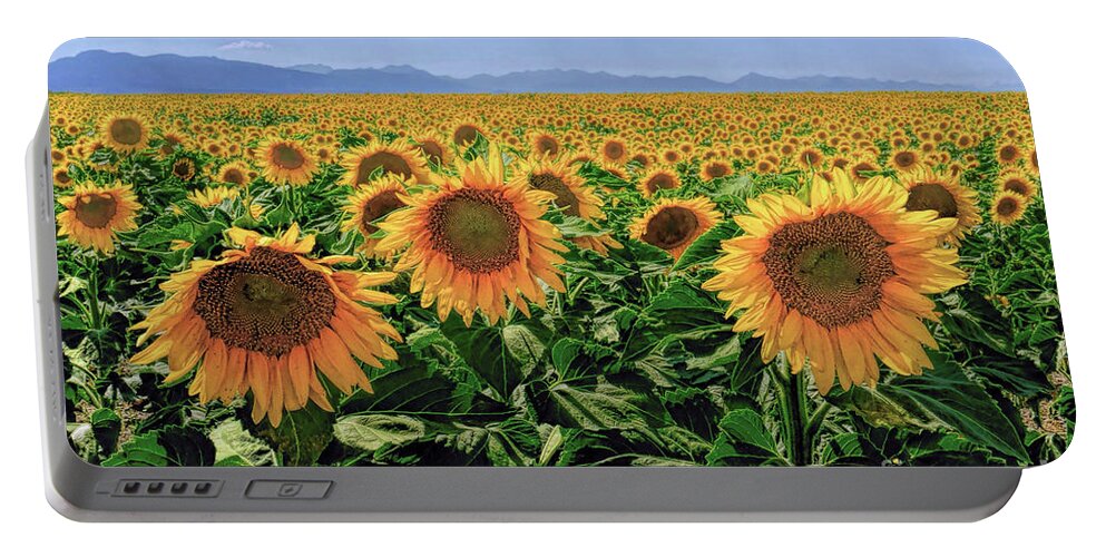 Sunflowers Portable Battery Charger featuring the photograph Sundrops by Roxie Crouch