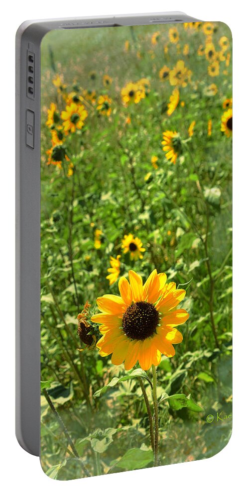Sunflower Portable Battery Charger featuring the photograph Sunflower 183 by Kae Cheatham