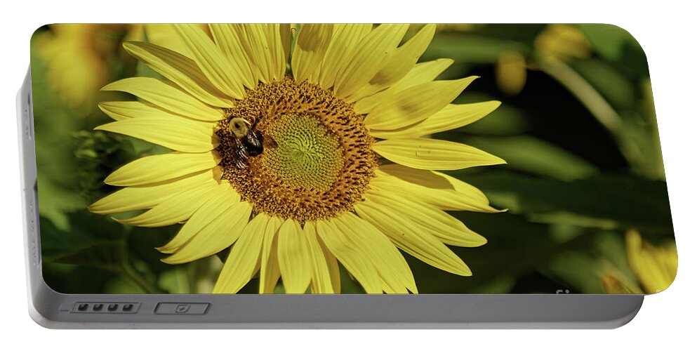 Sunflower Portable Battery Charger featuring the photograph Sunflower Bumble by Natural Focal Point Photography
