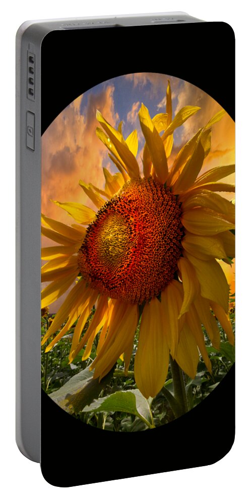 Sunflower Portable Battery Charger featuring the photograph Sunflower Dawn in Oval by Debra and Dave Vanderlaan