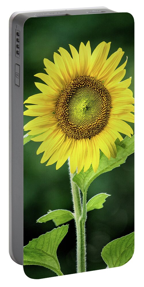 Flower Portable Battery Charger featuring the photograph Sunflower in Bloom by Don Johnson