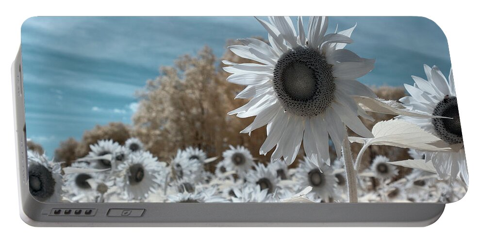 Ir Infra Red Infrared Waelength Outside Outdoors Nature Natural Sky Flower Flowers Botany Sun Sunflower Sunflowers 720nm 720 Nanometers Nanometer Brian Hale Brianhalephoto Farm Portable Battery Charger featuring the photograph Sunflower Infrared by Brian Hale