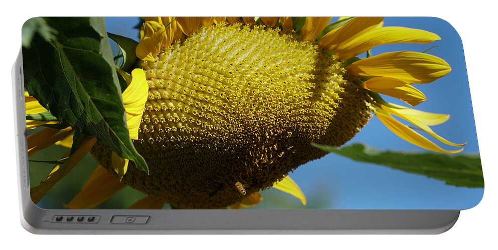 Sunflower Honeybee Portable Battery Charger featuring the photograph Sunflower, Mammoth with Bees by Stephen Daddona