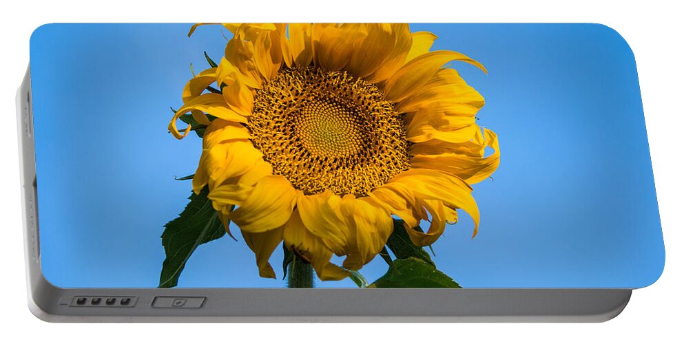 Sunrise Portable Battery Charger featuring the photograph Sunflower Mandala #2 by Mindy Musick King
