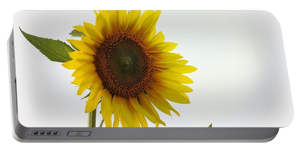 Skompski Portable Battery Charger featuring the photograph Sunflower Minimal by Joseph Skompski
