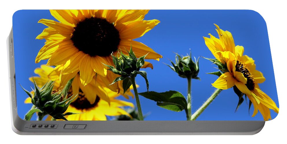 Blue Portable Battery Charger featuring the photograph Sunflower Morning Photograph by Kimberly Walker