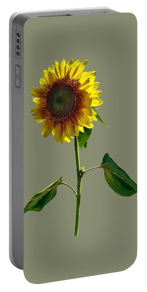 Sunflower Portable Battery Charger featuring the photograph Sunflower Standing Tall by Susan Savad