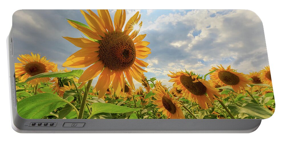 Sunflower Portable Battery Charger featuring the photograph Sunflower Star by Rob Davies