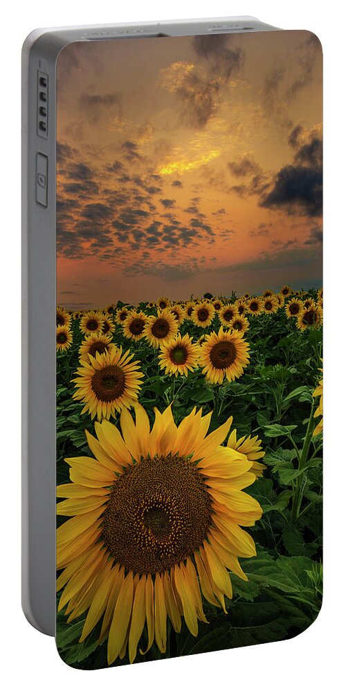 Yellow Portable Battery Charger featuring the photograph Sunflower Sunset by Aaron J Groen