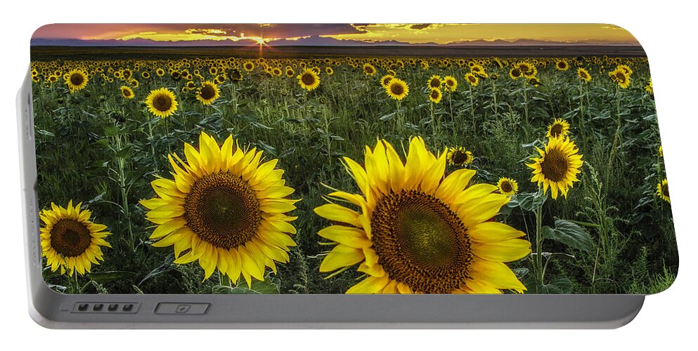 Sunflowers. Sunflower Field Portable Battery Charger featuring the photograph Sunflower Sunset by Kristal Kraft