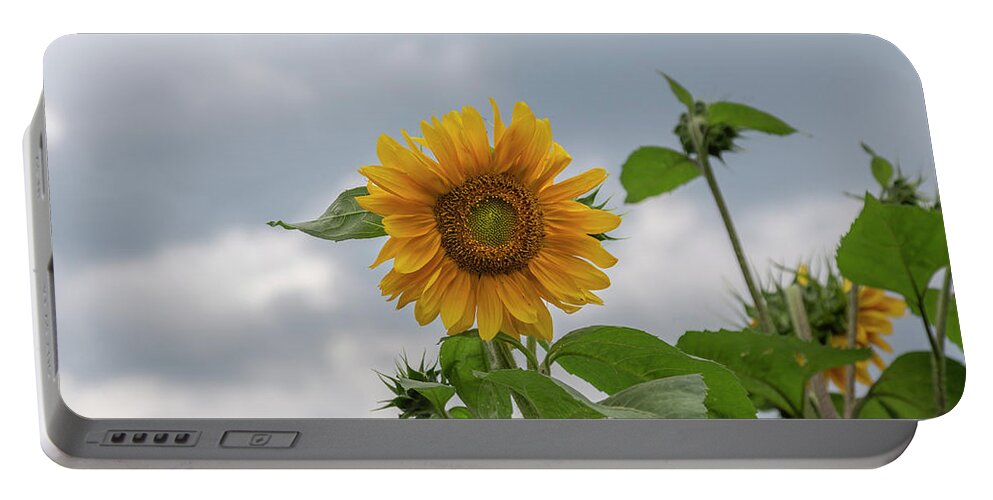 Sunflowers Portable Battery Charger featuring the photograph Sunflowers 2018-1 by Thomas Young