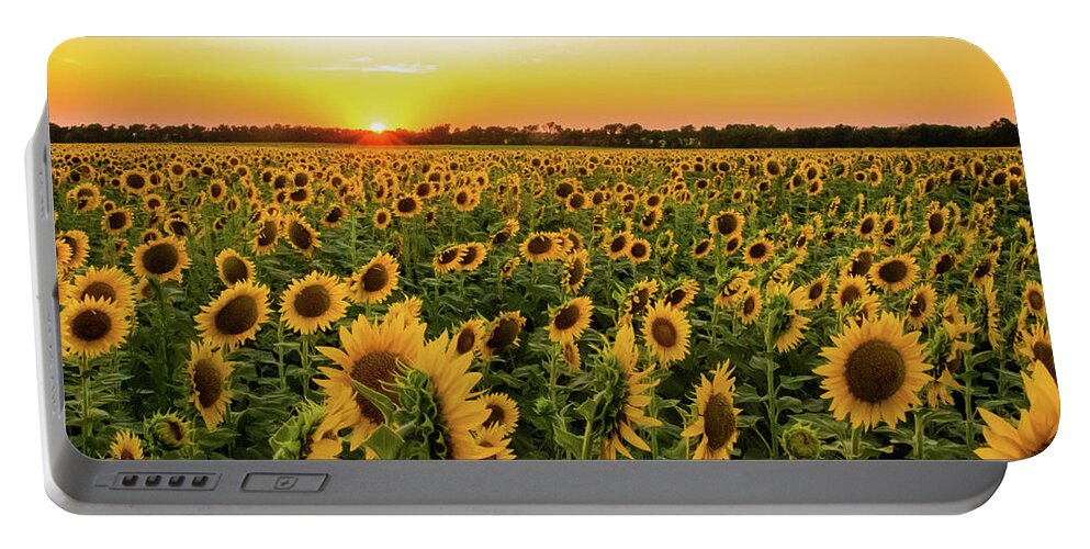 Jay Stockhaus Portable Battery Charger featuring the photograph Sunflowers at Sunset by Jay Stockhaus