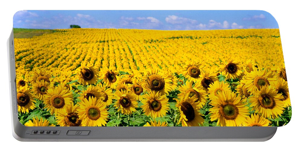 Flower Portable Battery Charger featuring the photograph Sunflowers by Bill Bachmann and Photo Researchers
