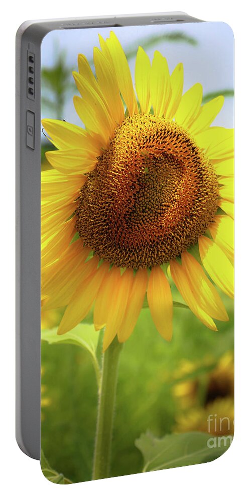 Sunflowers Portable Battery Charger featuring the photograph Sunflowers in Memphis II by Veronica Batterson