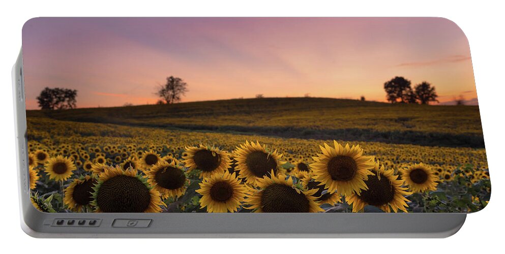 Sunflower Portable Battery Charger featuring the photograph Sunflowers in Pink by Ryan Heffron